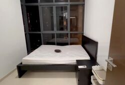 City Suites (D12), Apartment #447245891